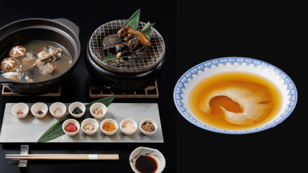 すっぽんお造り・フカヒレ付すっぽん鍋（伝統の味）・すっぽん炭焼セット